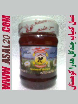 عسل طبیعی چندگل هدرا